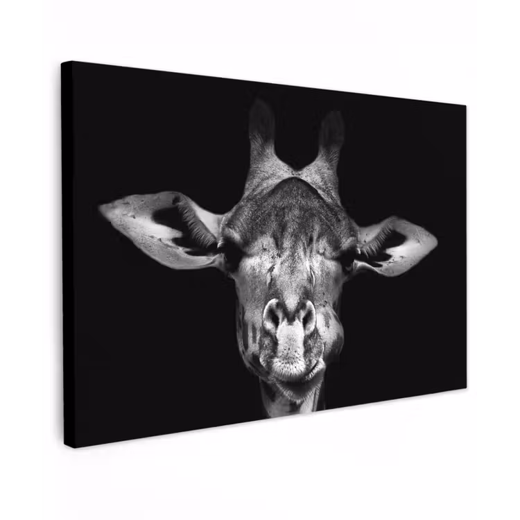 Giraffe - Portret - Dieren - Zwart - Wit canvas 2cm klein -z3d