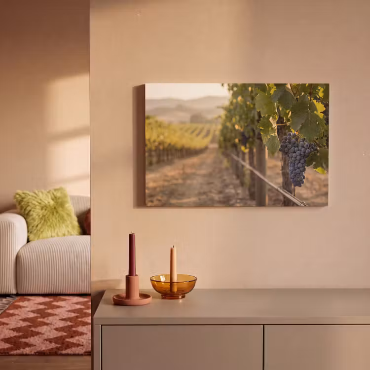 Druiven - Wijngaard - Zonlicht canvas 2cm klein -sfeer1