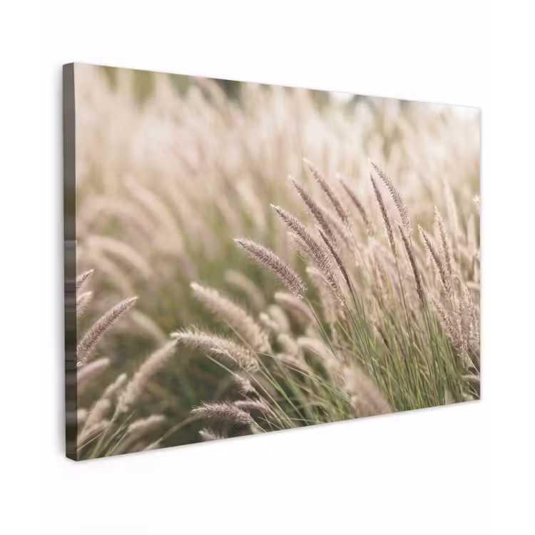 Gras - Close up - Groen canvas 2cm klein -z3d