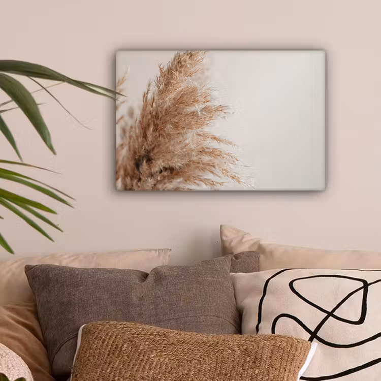 Gras - Planten - Natuur - Pampasgras canvas 2cm klein -sfeer1