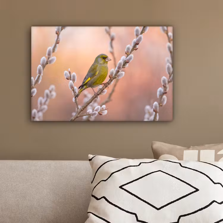 Groenling - Katjes - Lente - Natuur - Zacht canvas 2cm klein -sfeer3
