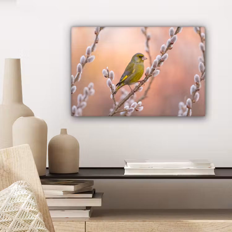 Groenling - Katjes - Lente - Natuur - Zacht canvas 2cm klein -sfeer6