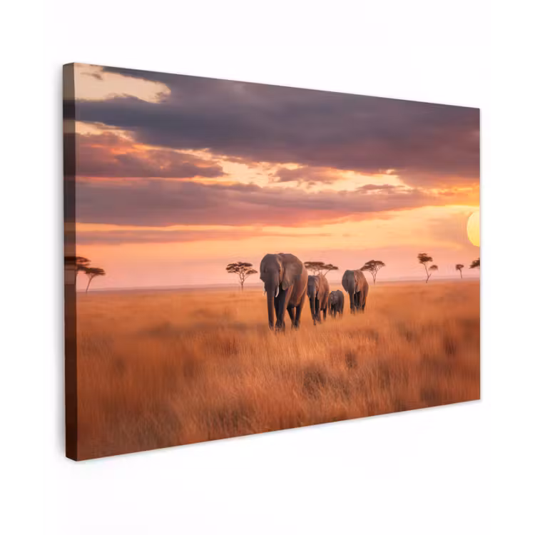 Groep olifanten - Open vlakte - Zon canvas 2cm klein -z3d