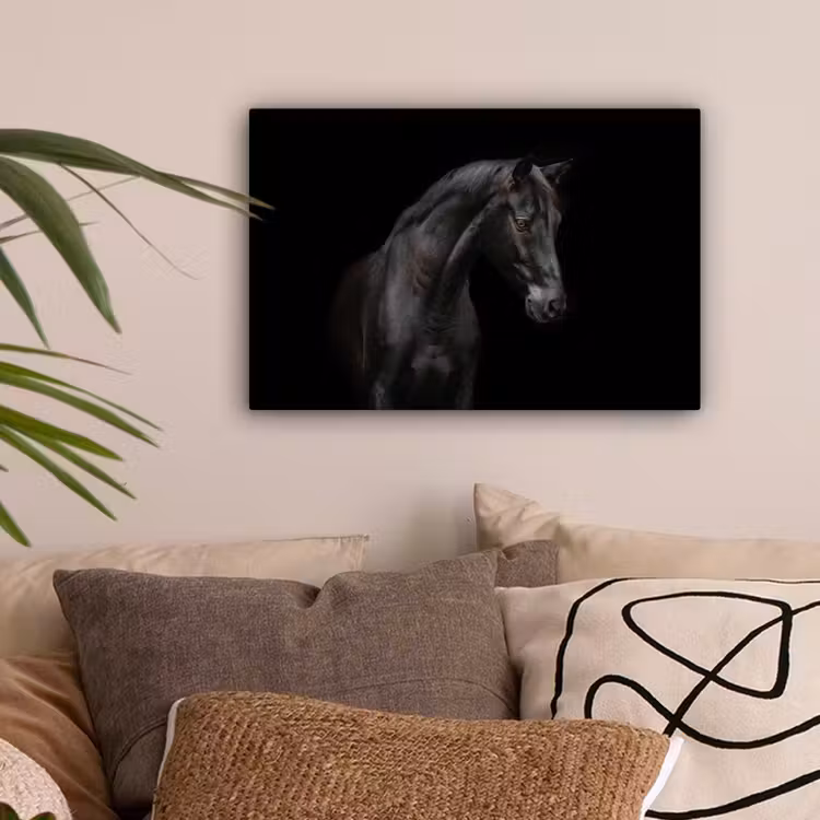 Paard - Dieren - Zwart - Portret canvas 2cm klein -sfeer1