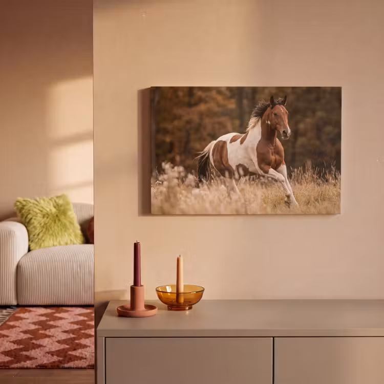Paard - Bruin - Gras canvas 2cm klein -sfeer1