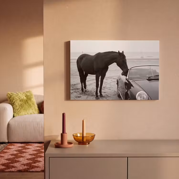 Paard - Auto - Zwart - Wit canvas 2cm klein -sfeer1