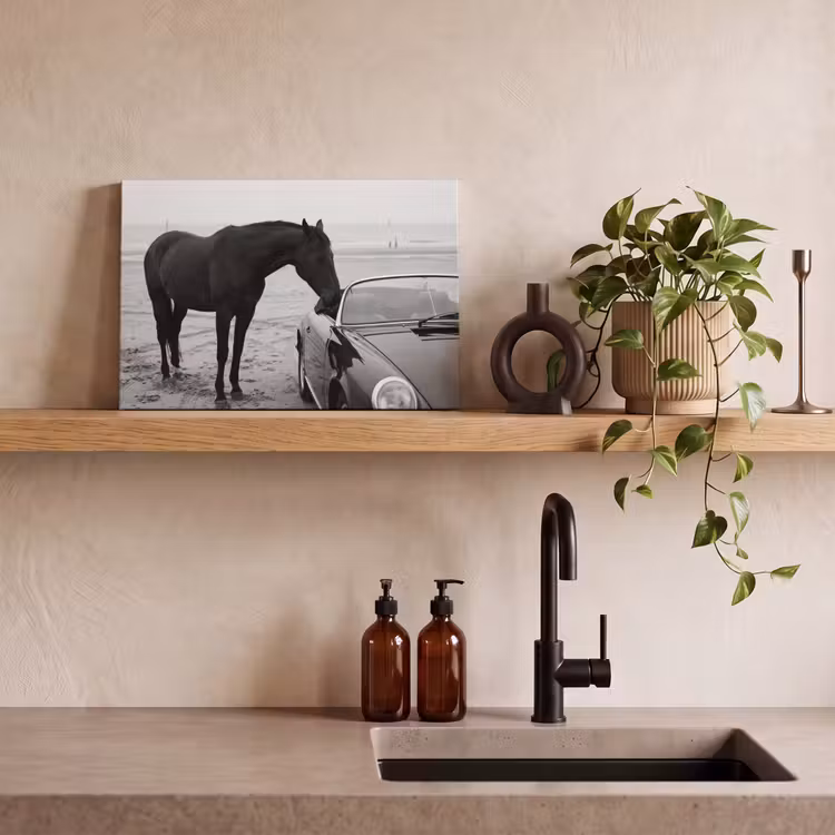Paard - Auto - Zwart - Wit canvas 2cm klein -sfeer3