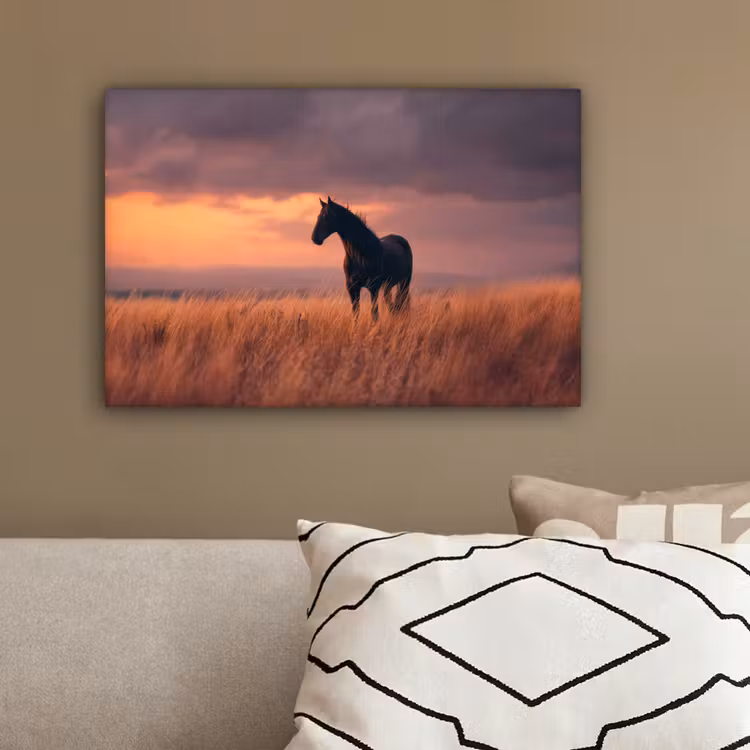 Paard - Wolken - Open veld canvas 2cm klein -sfeer3