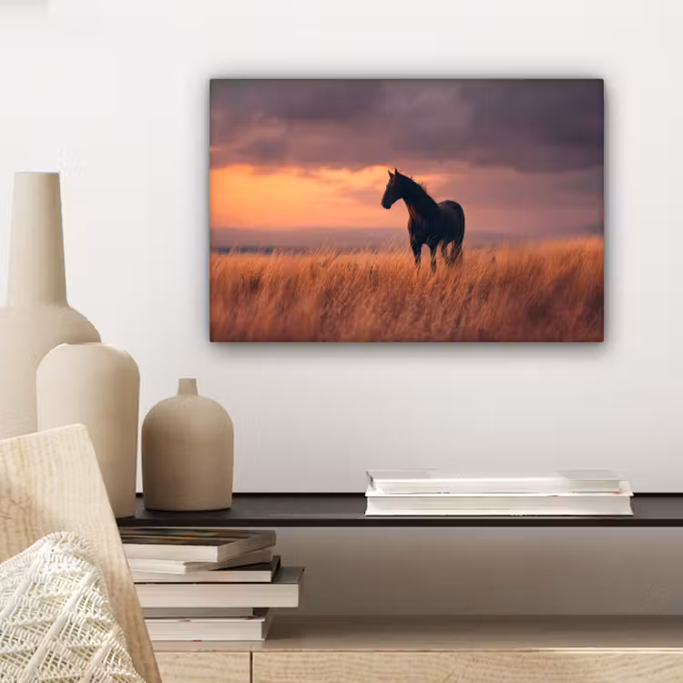 Paard - Wolken - Open veld canvas 2cm klein -sfeer6