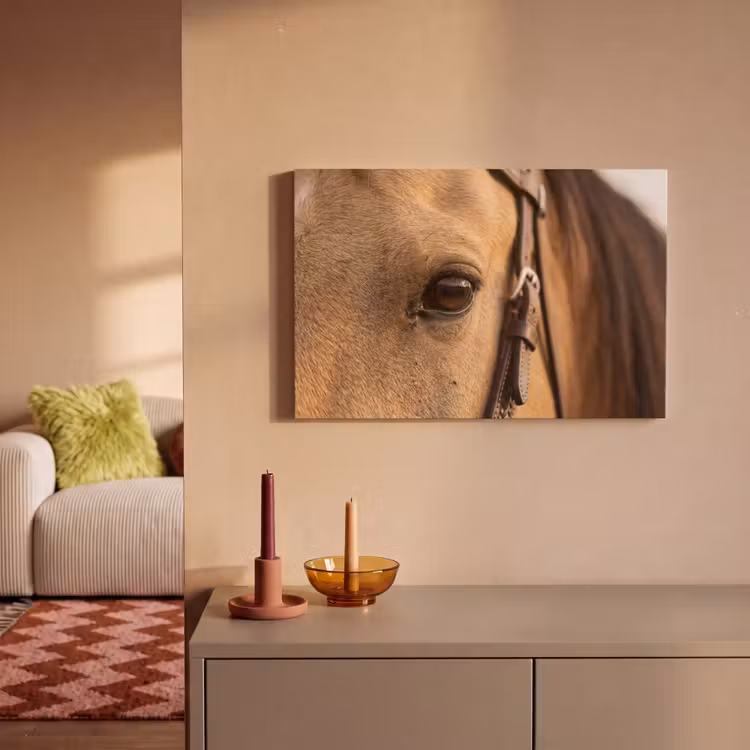 Pferd - Auge - Braun canvas 2cm klein -sfeer1