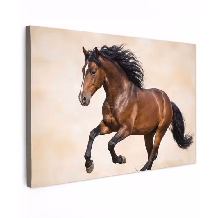 Paard - Galop - Energie canvas 2cm klein -z3d