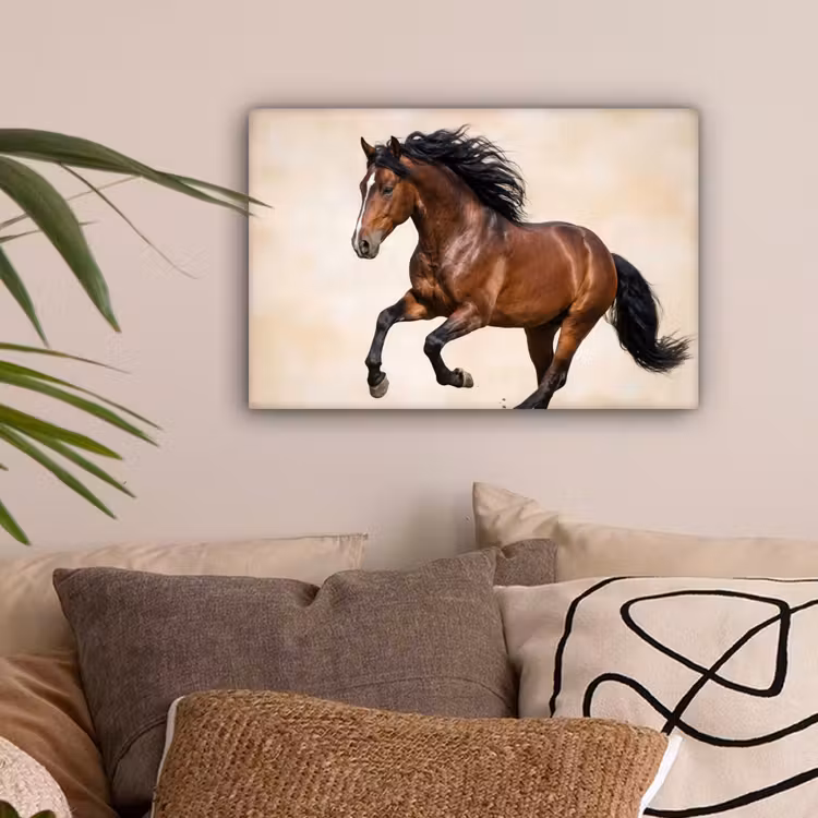 Paard - Galop - Energie canvas 2cm klein -sfeer1
