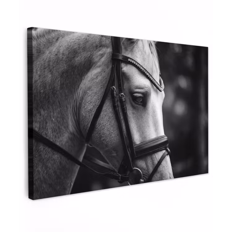 Paard - Schimmel - Portret canvas 2cm klein -z3d