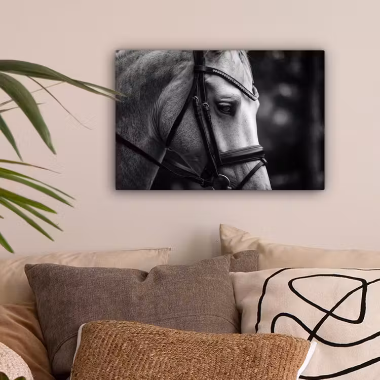 Paard - Schimmel - Portret canvas 2cm klein -sfeer1