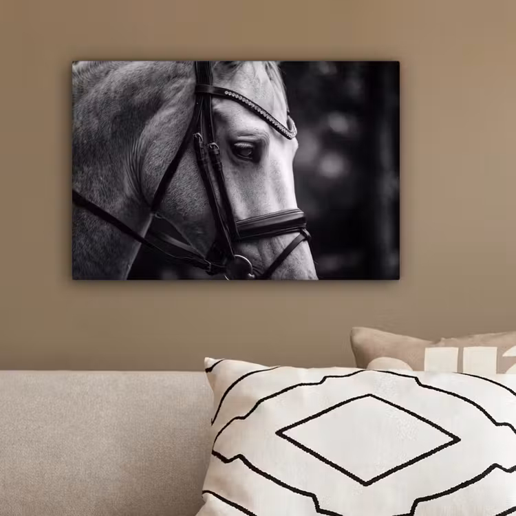 Paard - Schimmel - Portret canvas 2cm klein -sfeer3