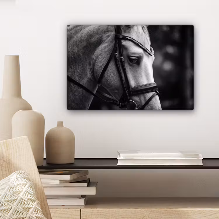 Paard - Schimmel - Portret canvas 2cm klein -sfeer6