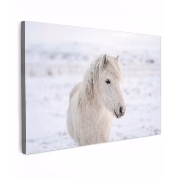 Paard - Kop - Winter - Dieren - Wit canvas 2cm klein -z3d