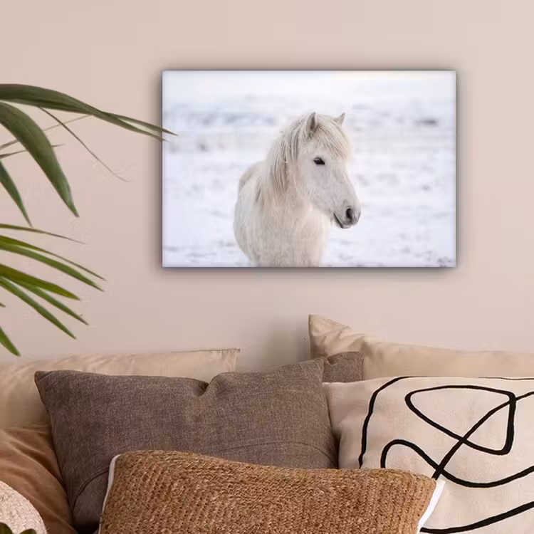 Paard - Kop - Winter - Dieren - Wit canvas 2cm klein -sfeer1