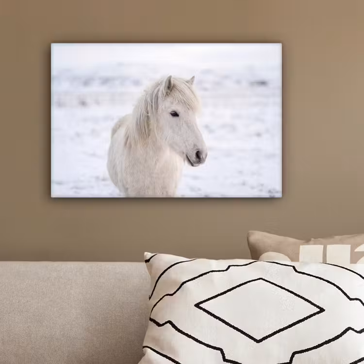 Paard - Kop - Winter - Dieren - Wit canvas 2cm klein -sfeer3