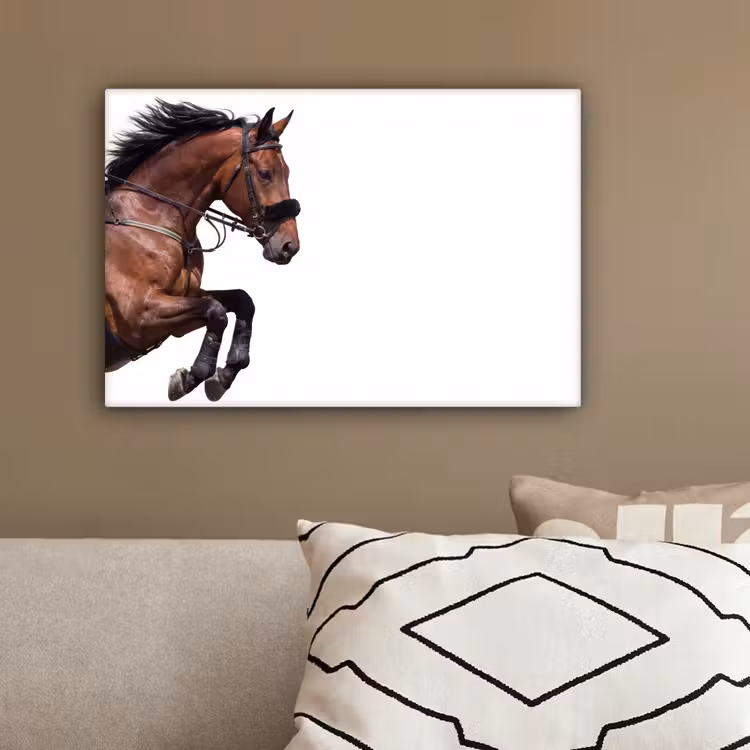 Paard - Springen - Modern canvas 2cm klein -sfeer3