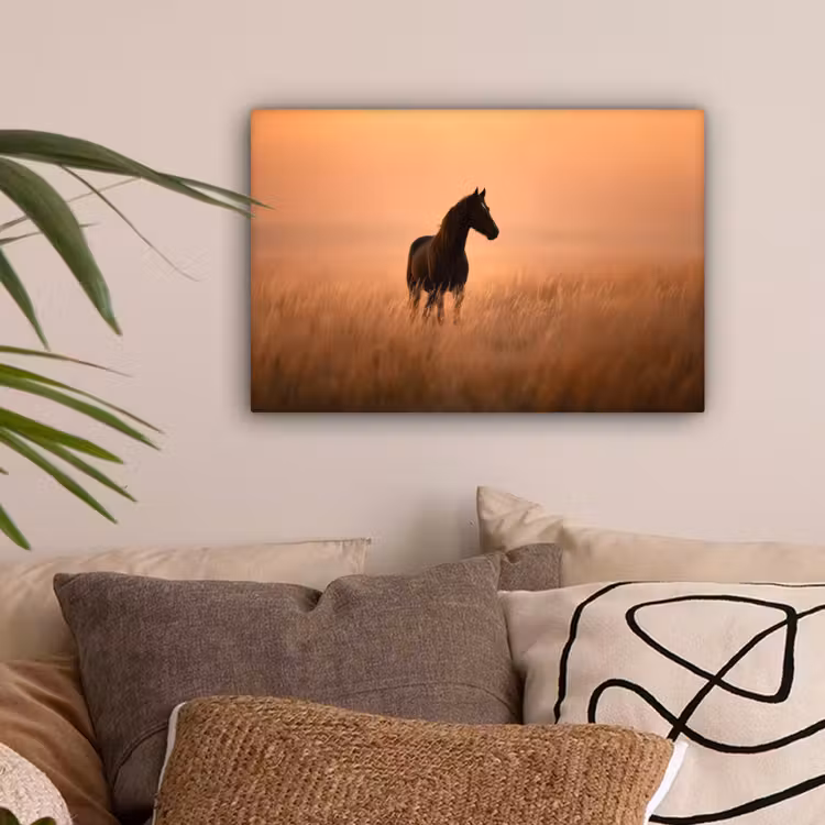 Paard - Grasveld - Zonsondergang canvas 2cm klein -sfeer1