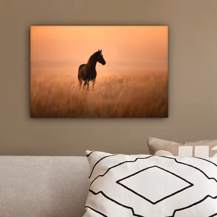 Paard - Grasveld - Zonsondergang canvas 2cm klein -sfeer3