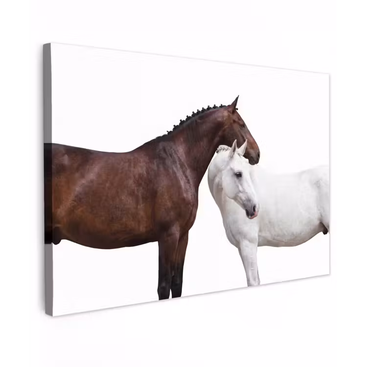Paard - Modern - Balans canvas 2cm klein -z3d
