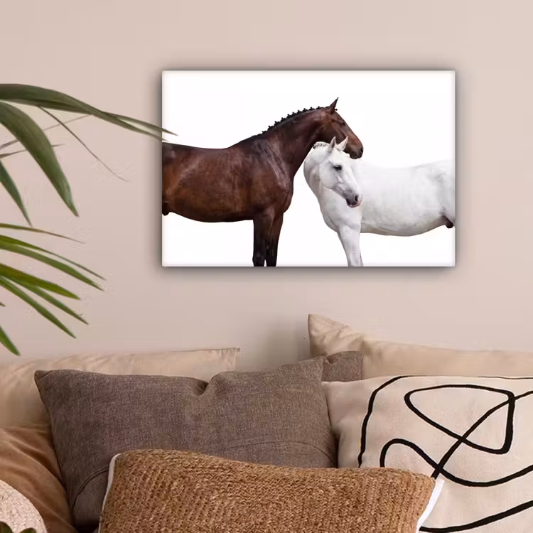 Paard - Modern - Balans canvas 2cm klein -sfeer1