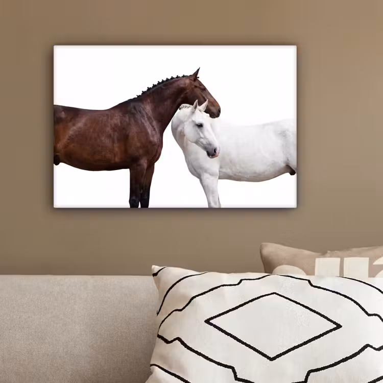Paard - Modern - Balans canvas 2cm klein -sfeer3