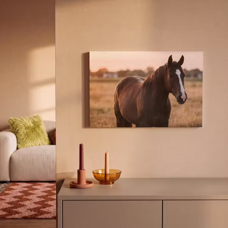 Paard - Zonsondergang - Bruin canvas 2cm klein -sfeer1