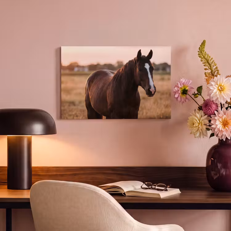 Paard - Zonsondergang - Bruin canvas 2cm klein -sfeer4