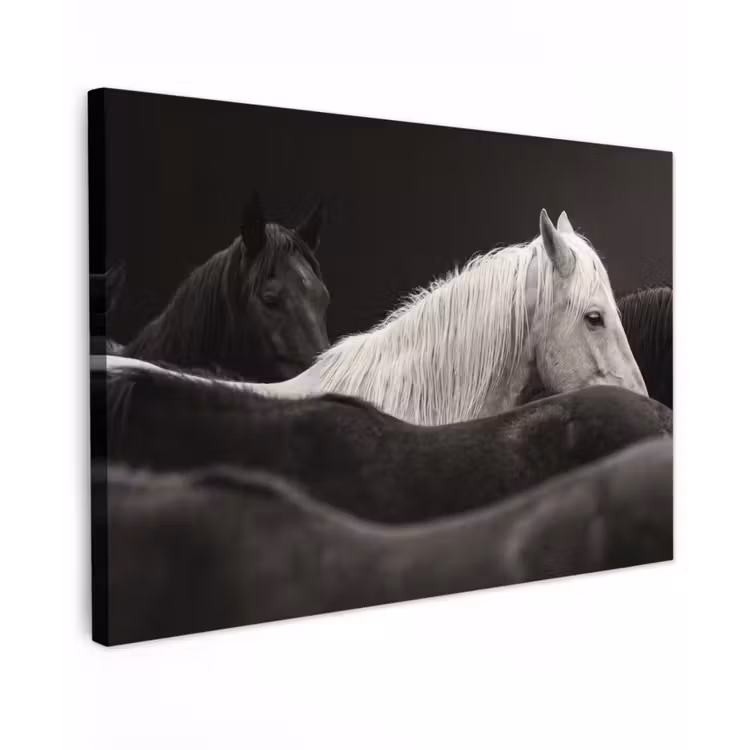 Paarden - Zwart - Wit - Kudde canvas 2cm klein -z3d