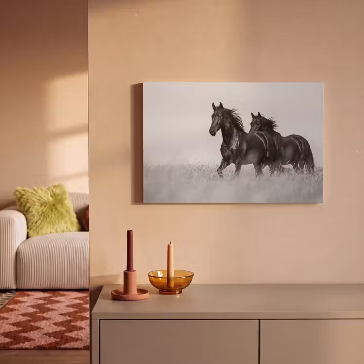 Paarden - Gras - Zwart - Wit canvas 2cm klein -sfeer1