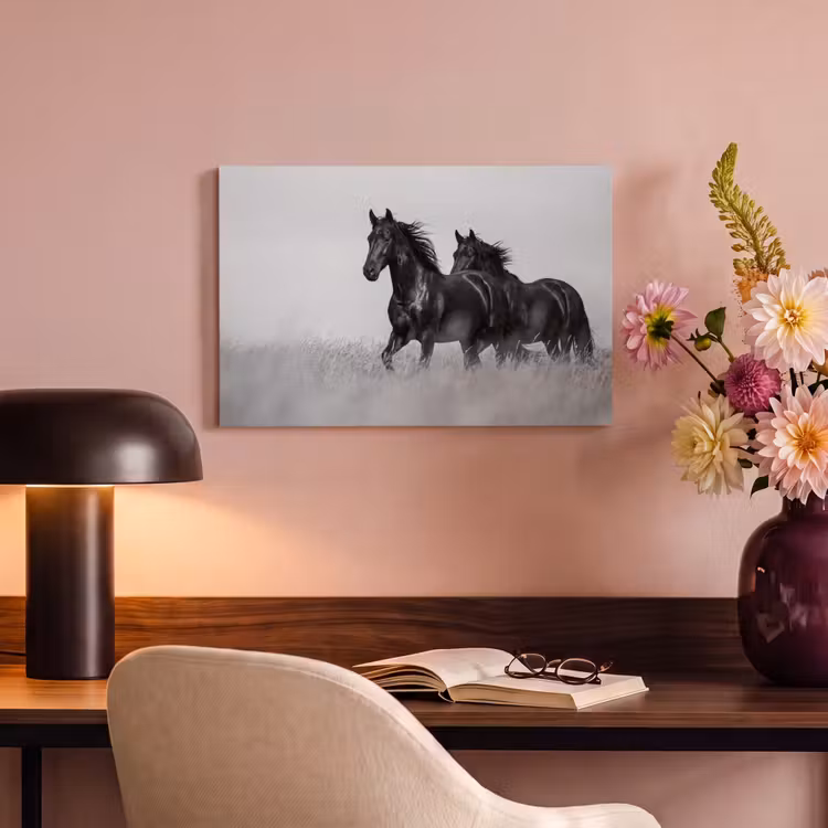 Paarden - Gras - Zwart - Wit canvas 2cm klein -sfeer4
