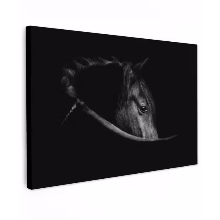 Paarden - Portret - Zwart - Dieren canvas 2cm klein -z3d