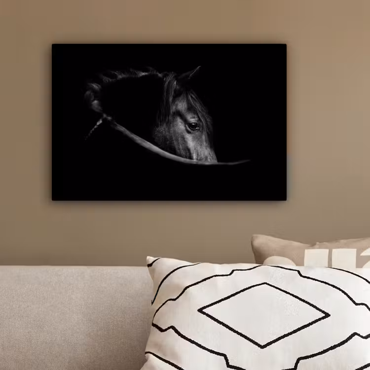 Paarden - Portret - Zwart - Dieren canvas 2cm klein -sfeer3