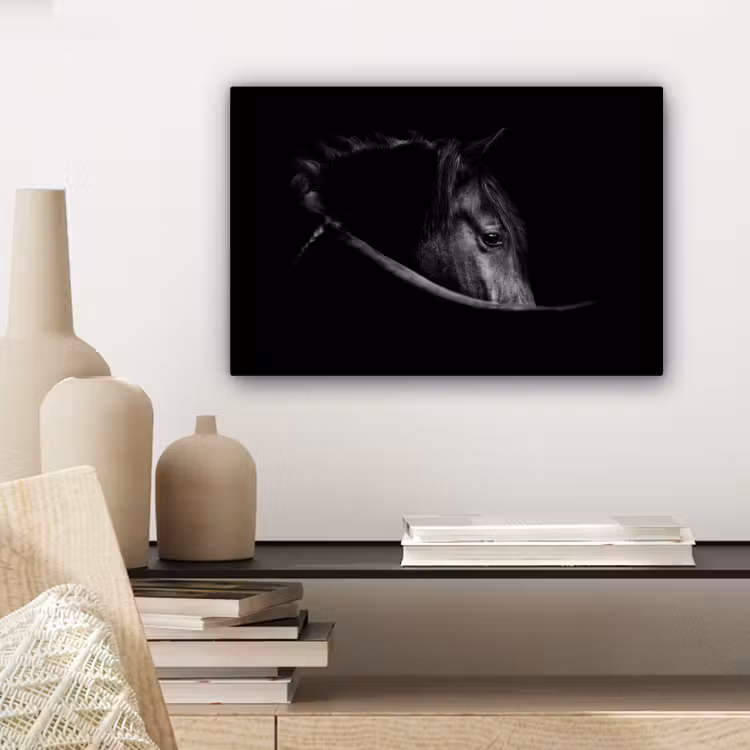 Paarden - Portret - Zwart - Dieren canvas 2cm klein -sfeer6