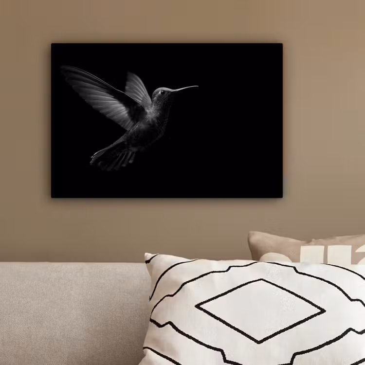 Kolibrie - Zwart - Dieren canvas 2cm klein -sfeer3