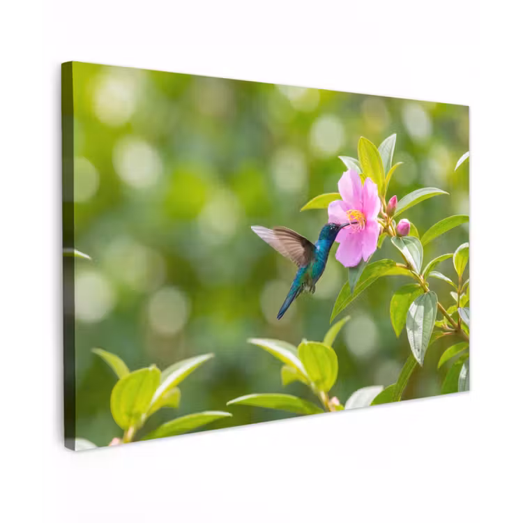 Kolibrie - Bloem - Natuur - Groen canvas 2cm klein -z3d