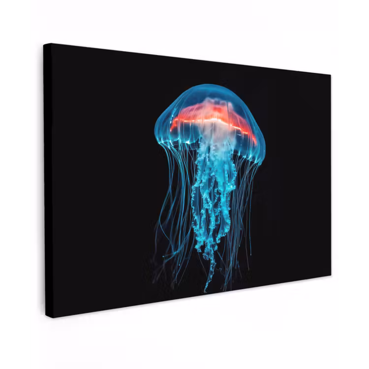 Kwal - Tentakels - Blauw - Licht canvas 2cm klein -z3d