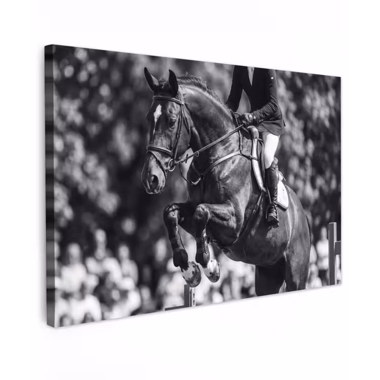 Springen - Paard - Zwart - Wit canvas 2cm klein -z3d