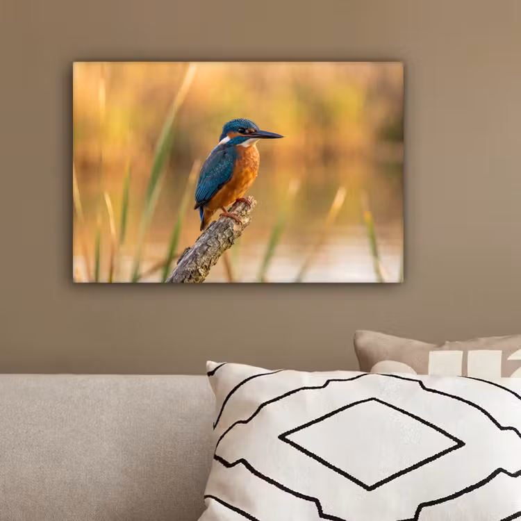 IJsvogel - Tak - Water - Kleurrijk - Levendig canvas 2cm klein -sfeer3