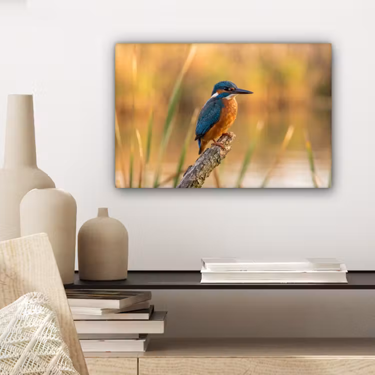 IJsvogel - Tak - Water - Kleurrijk - Levendig canvas 2cm klein -sfeer6