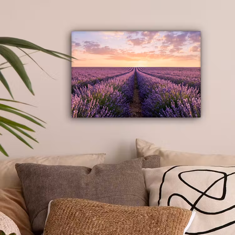 Landschap - Lavendelveld - Paars canvas 2cm klein -sfeer1