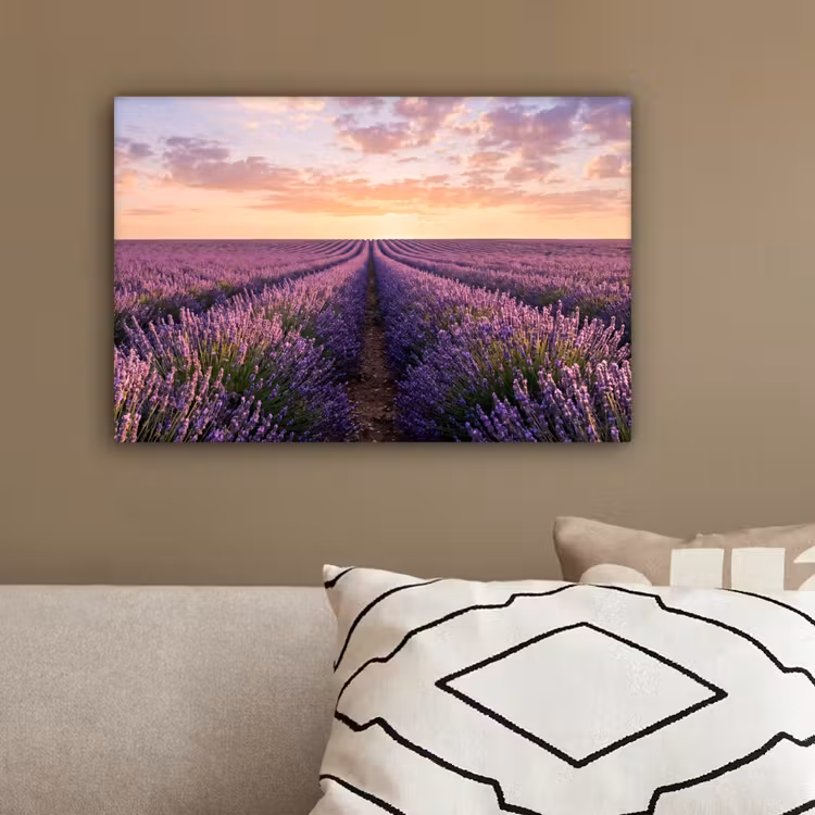 Landschap - Lavendelveld - Paars canvas 2cm klein -sfeer3