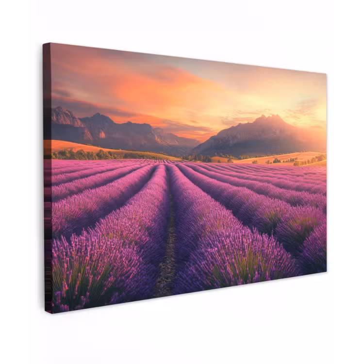 Lavendelveld - Zonsondergang - Paars canvas 2cm klein -z3d