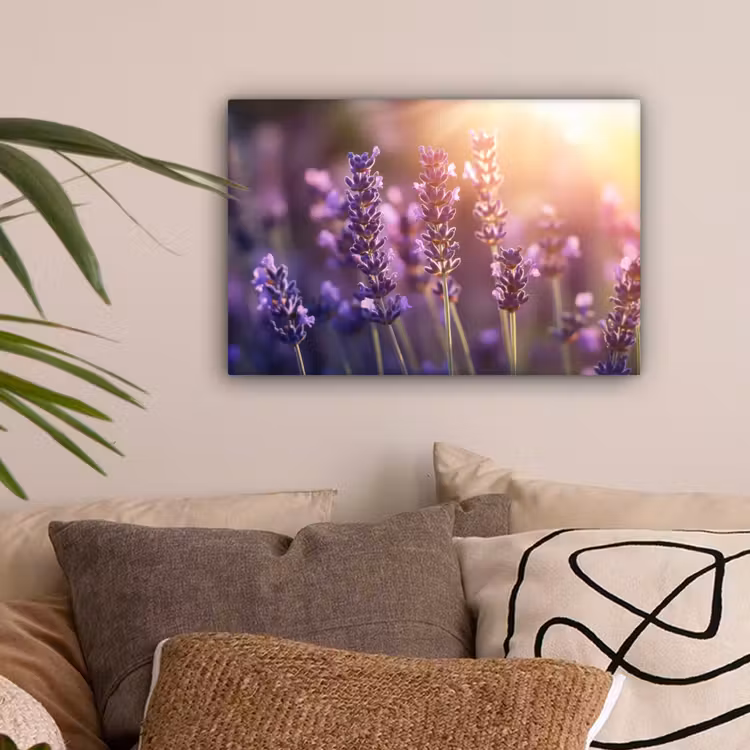 Lavendelbloemen - Paars - Zonlicht canvas 2cm klein -sfeer1