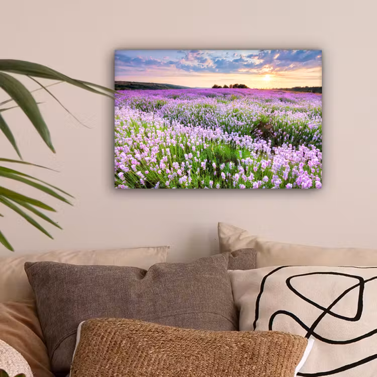 Lavendel - Bloemen - Zonsondergang - Paars - Weide canvas 2cm klein -sfeer1