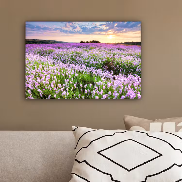Lavendel - Bloemen - Zonsondergang - Paars - Weide canvas 2cm klein -sfeer3