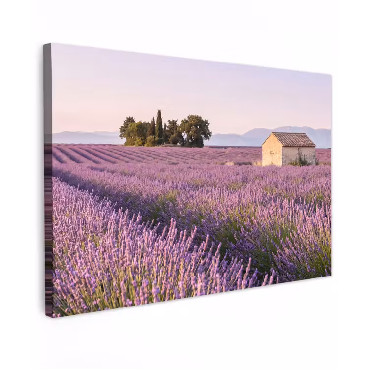 Lavendel - Landschap - Sereen - Paars canvas 2cm klein -z3d